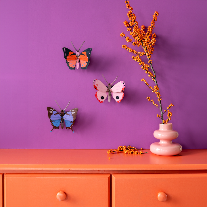 MODEL - Studio Roof, Blue Copper butterfly