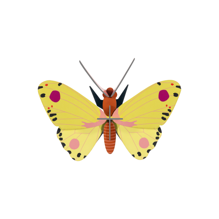 MODEL - Studio Roof, Blue Copper butterfly