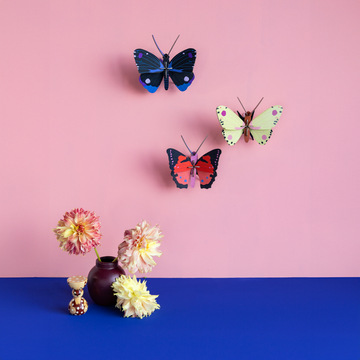 MODEL - Studio Roof, Blue Copper butterfly