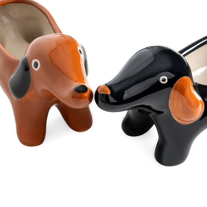 MACETA - Helio Ferretti, Teckel negro