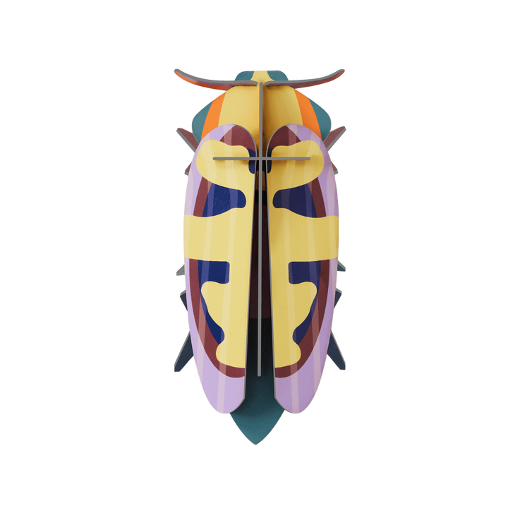 MAQUETA - Studio Roof, Mango Flower Beetle
