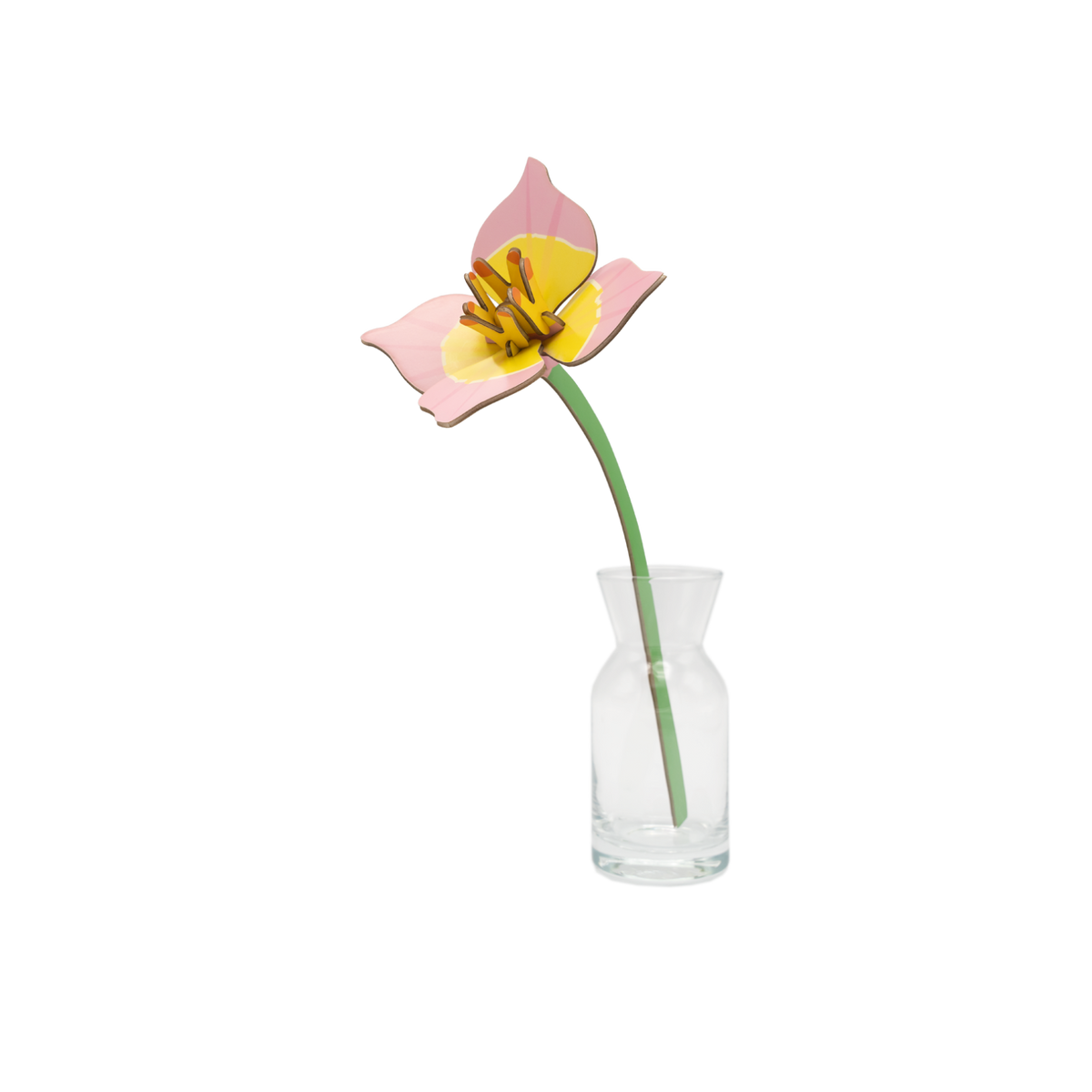 Maqueta flor de cartón Blushing Tulip de Studio Roof – foto 1