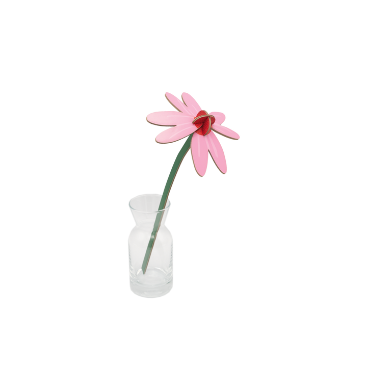 Maqueta flor de cartón Pink Coneflower de Studio Roof – foto 1