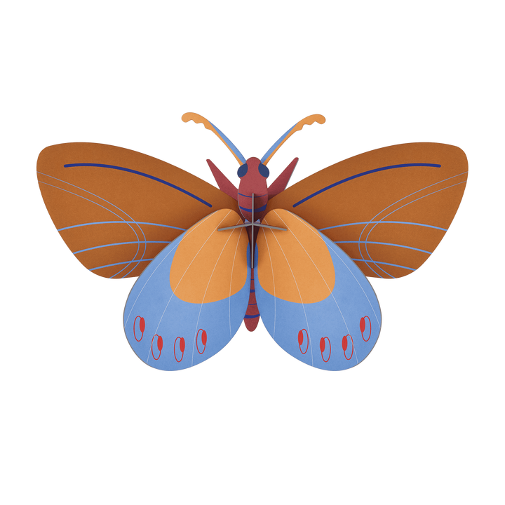 MAQUETA - Studio Roof, Ochre Costa Butterfly