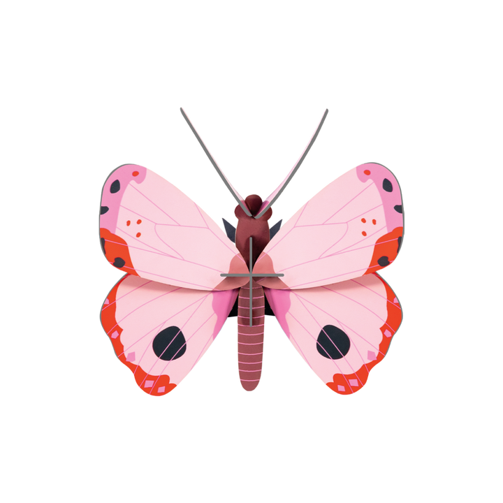 MAQUETA - Studio Roof, Rosora Butterfly