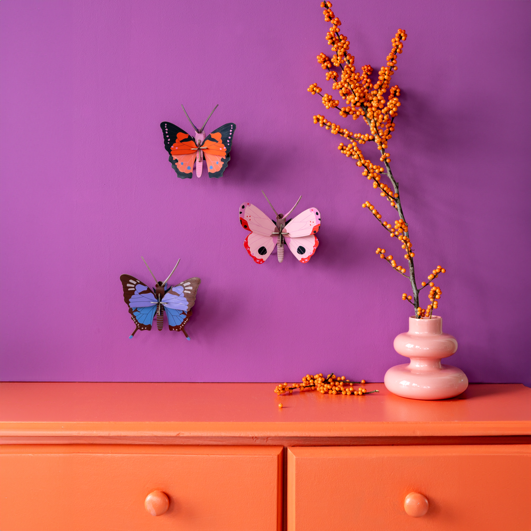 MAQUETA - Studio Roof, Rosora Butterfly