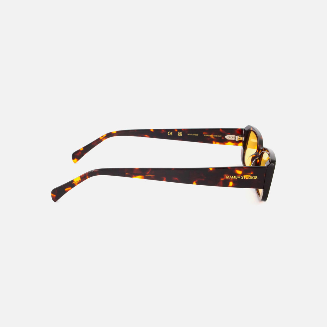 GAFAS DE SOL - Mamba Studios, Sal Tortoise
