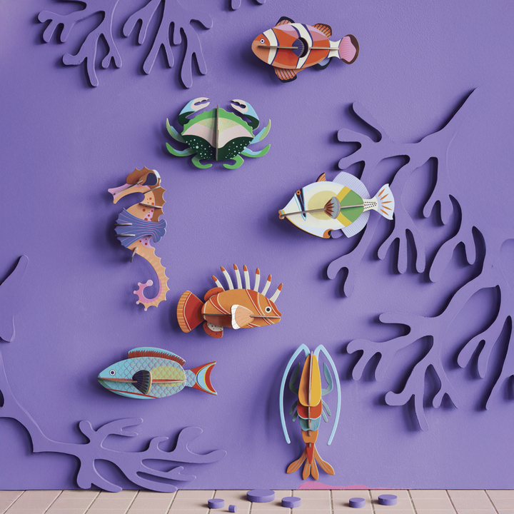 MAQUETA - Studio Roof, Clownfish