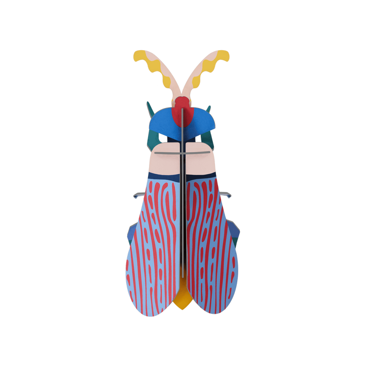MAQUETA - Studio Roof, Striped Wing Beetle