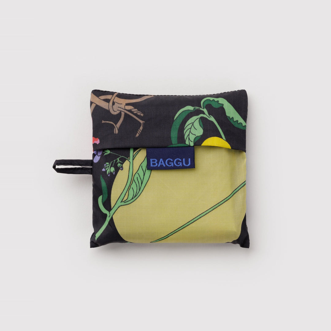 Standard Winter Gourd de Baggu – foto 3