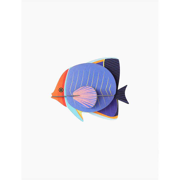 MAQUETA - Studio Roof, Butterfly Fish