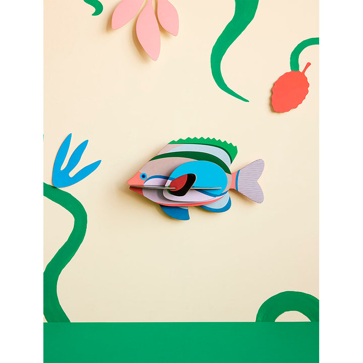 MAQUETA - Studio Roof, Fairy Wrasse