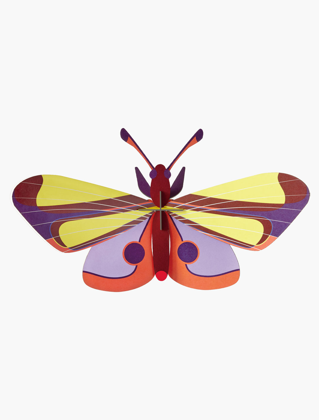 MAQUETA - Studio Roof, Purple Eyed Butterfly
