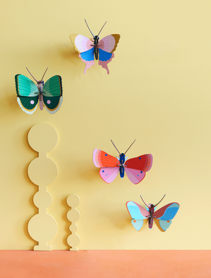 MAQUETA - Studio Roof, Fern Striped Butterfly