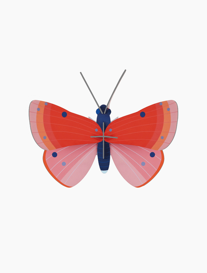 MAQUETA - Studio Roof, Speckled Copper Butterfly