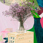CAJA PLEGABLE - Ay-Kasa - Violeta