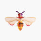 MAQUETA - Studio Roof, Honey Bee