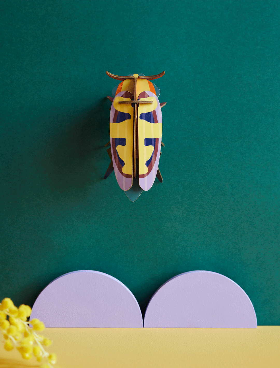 MAQUETA - Studio Roof, Mango Flower Beetle