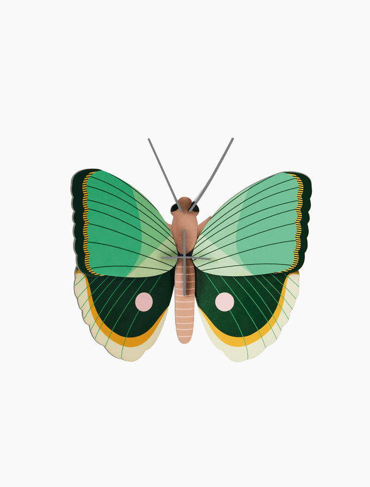 MAQUETA - Studio Roof, Fern Striped Butterfly