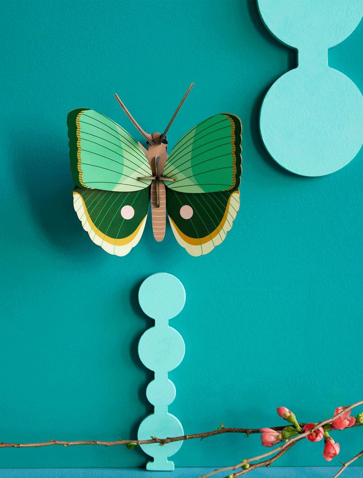 MAQUETA - Studio Roof, Fern Striped Butterfly