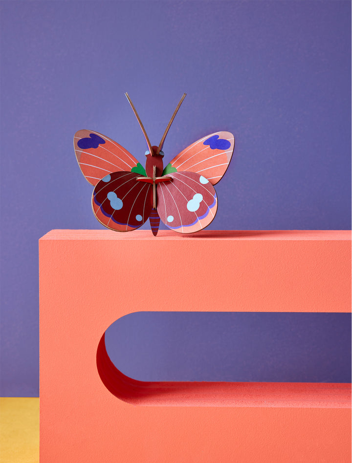 MAQUETA - Studio Roof, Delias Butterfly